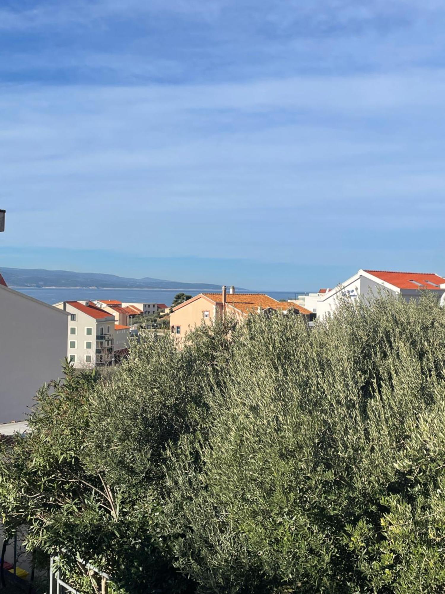 My Apartment Promajna